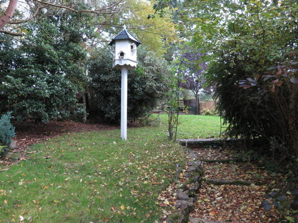 Photo 19