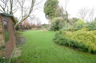 Garden Photo 2