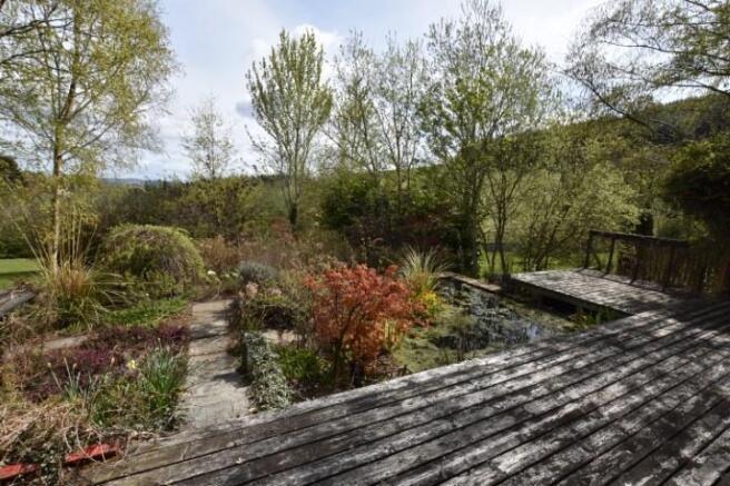 Pond (Small).JPG