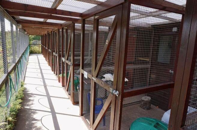 Cattery 