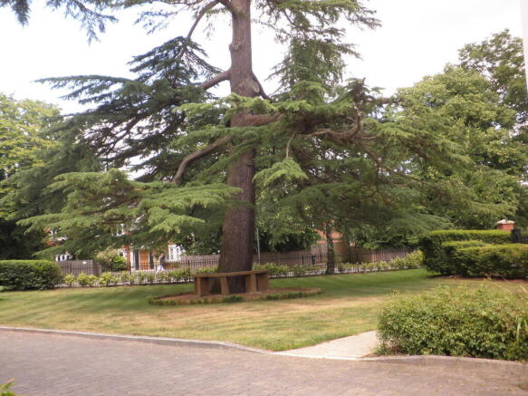 Photo 12
