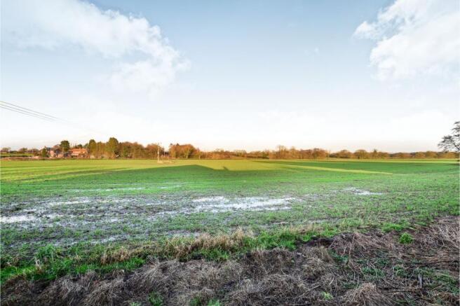 Open Farmland Views