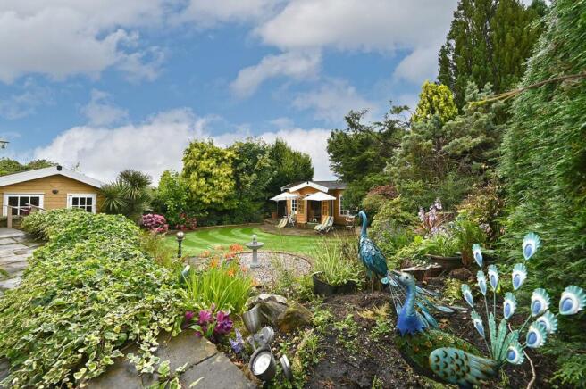 DSC_5596 copy.jpg