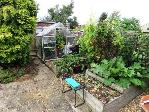 Garden 3.JPG