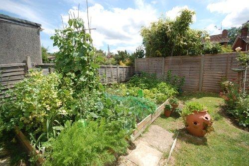 VEGETABLE PLOT