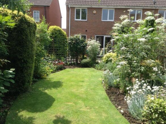 Summer Garden