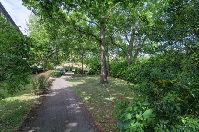 Communal garden