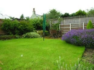 Back Garden