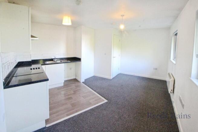 Kitchen/Living Room
