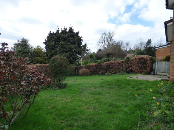 Photo 4