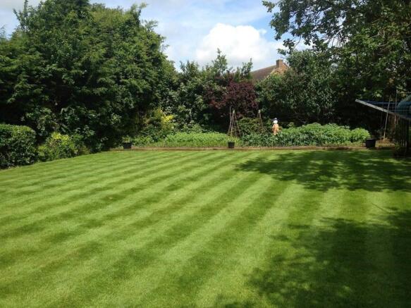 Garden 1.jpg