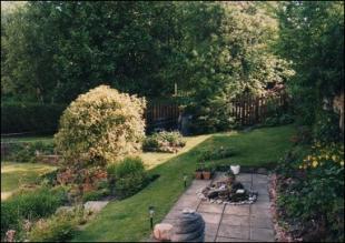 Photo 4