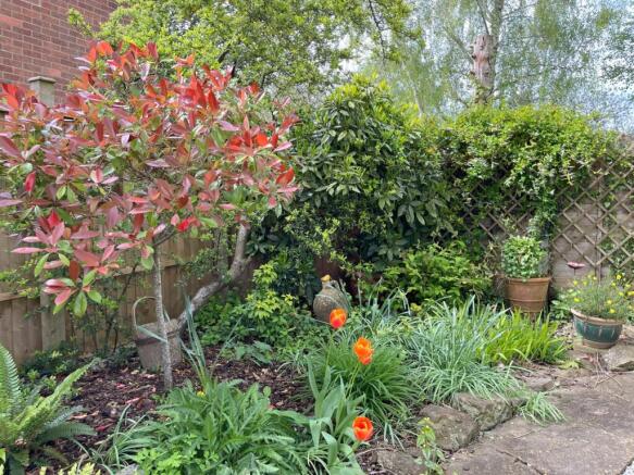 Garden VI