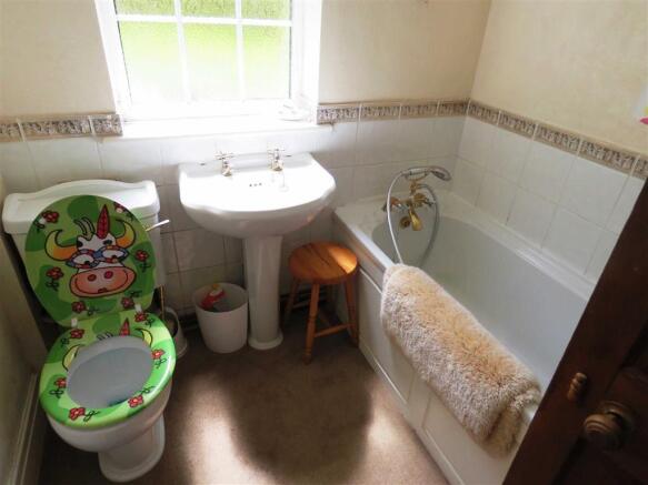 Photo 11
