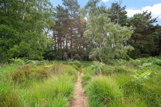Out To The Heath