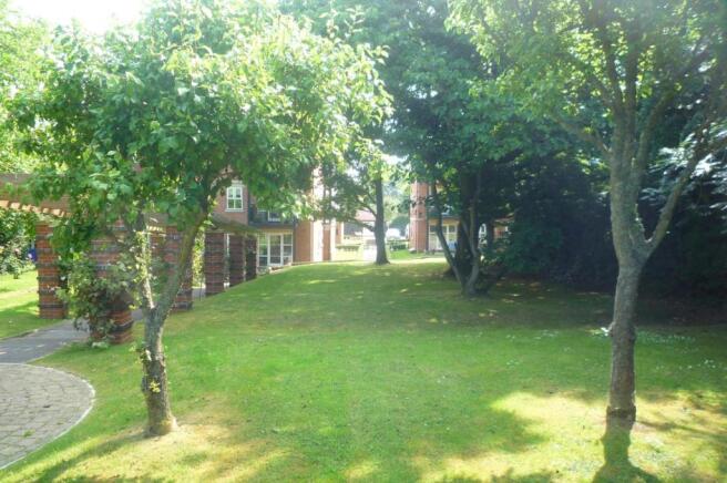 Communal gardens 3