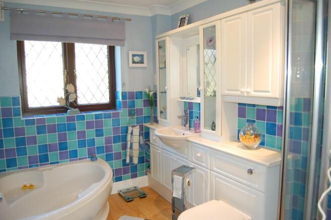 Photo 11