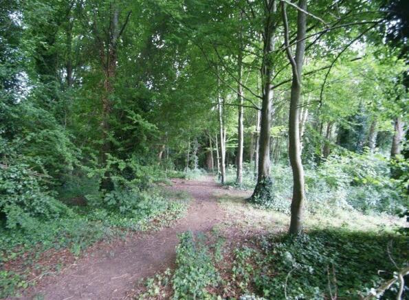 Woodlands