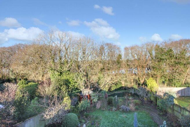 Garden at Back