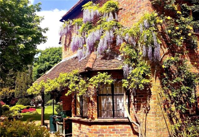 Wisteria
