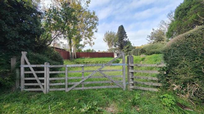 IMG20251009160155.jpg