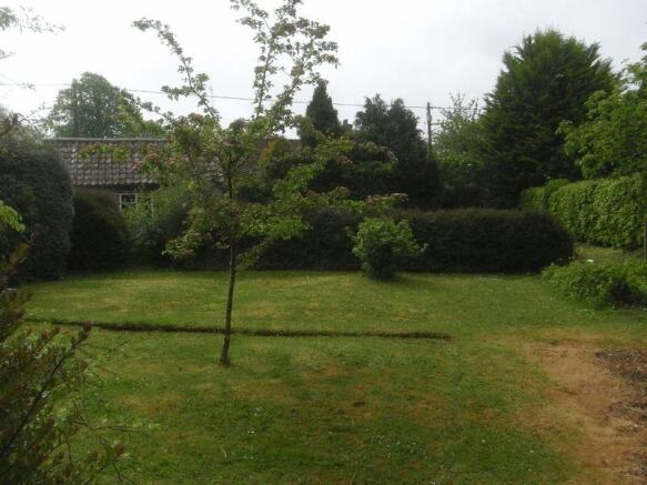 garden