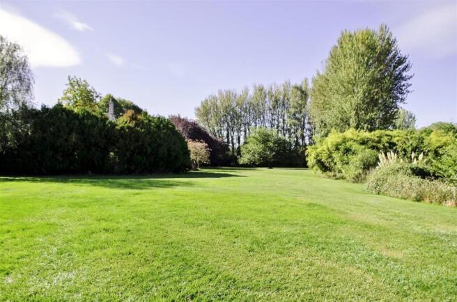 TFHlarge garden.jpg