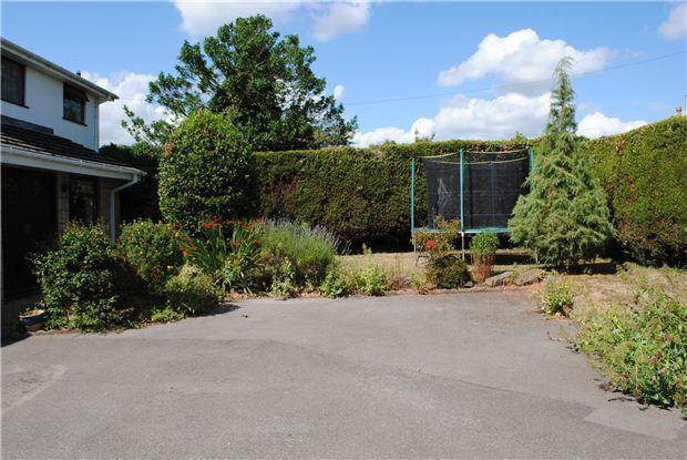 Front Garden/Drive