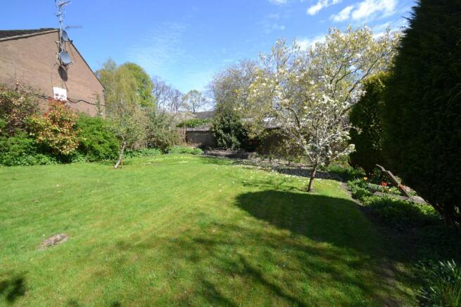 Land for sale Image 4