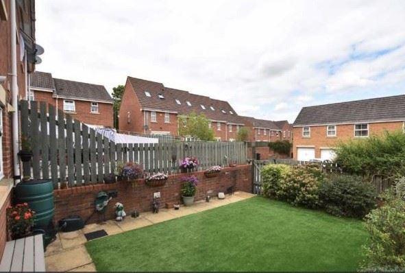 Back garden.jpg