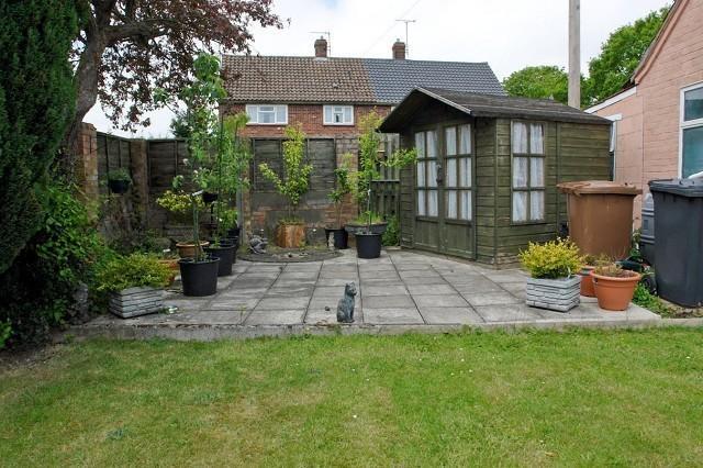 Picture 19