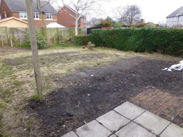 rear garden.jpg