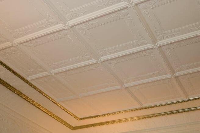 Feature Ceiling From Bradshaw Hall