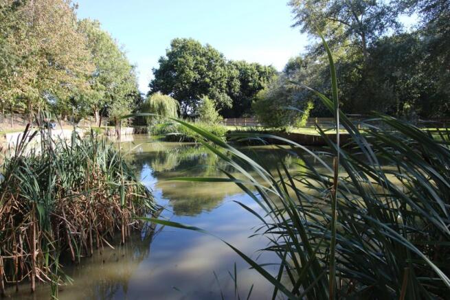 Pond