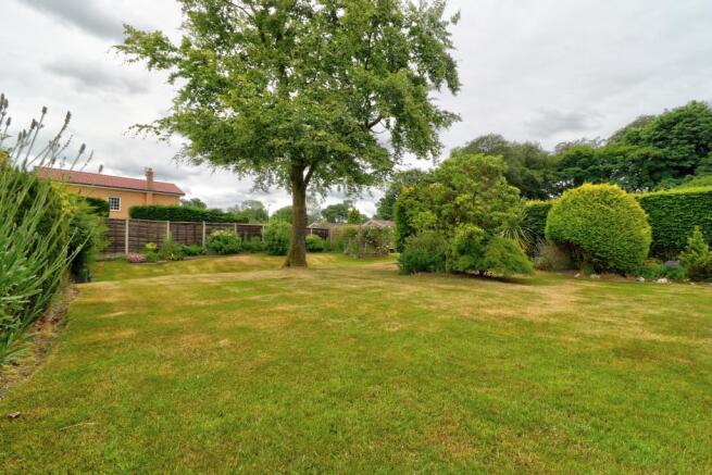 Garden 2