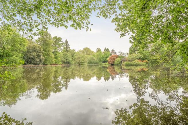 Pond