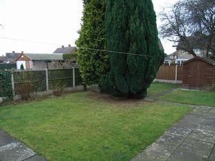 Rear Garden - View 2