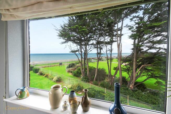 Living Room View