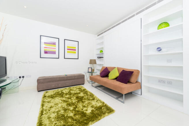 Living/Sleeping Area