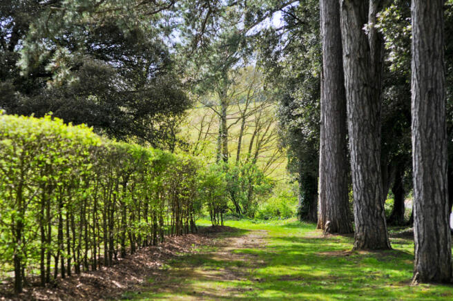 Communal Garounds & Woodland.JPG