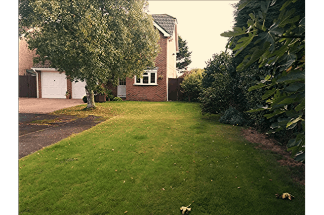 The Property