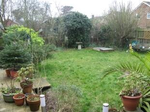 Rear Garden 2nd Shot