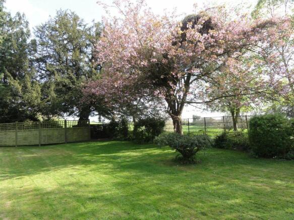 Communal Garden