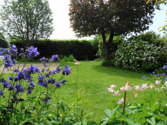 Photo 17