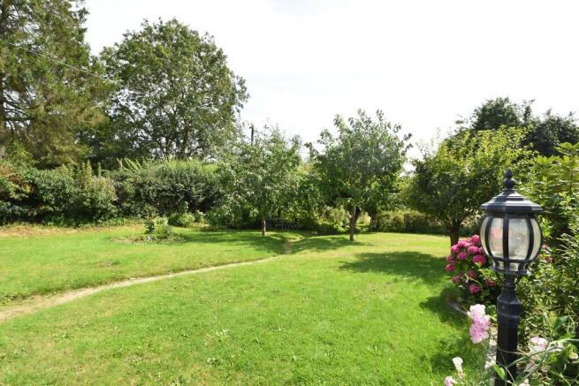 Summer Garden