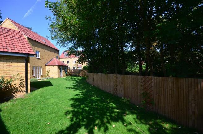 Rear Garden (Original)