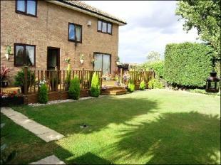 Rear of Property