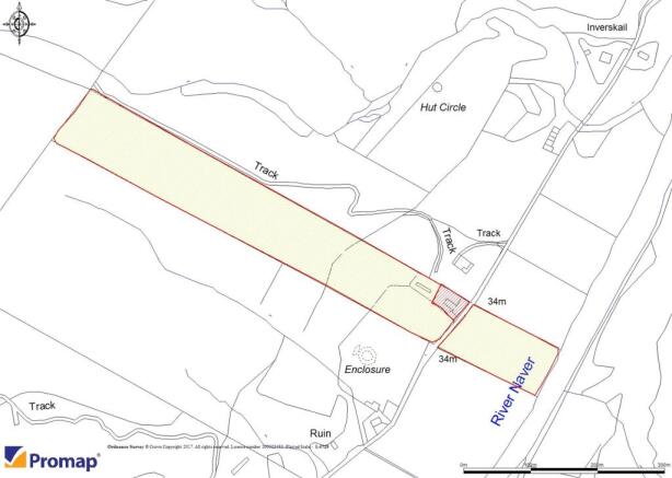 Picture No. 16