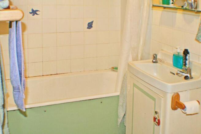 Photo 5
