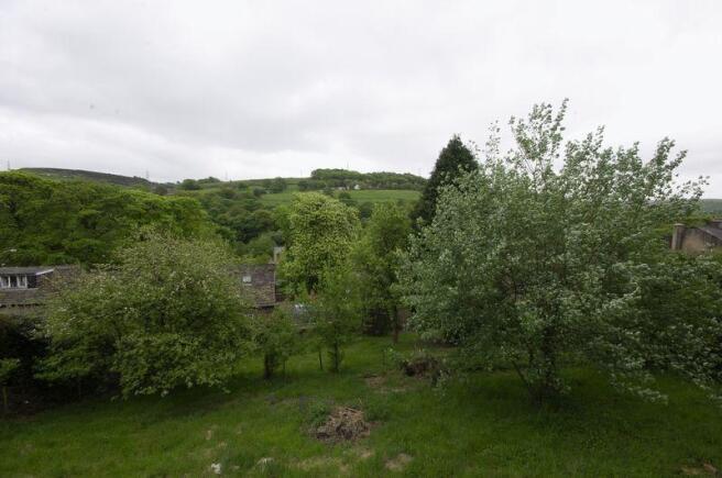 View from Patio